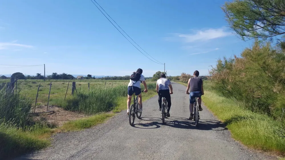 Location de vélo à Montbrison
